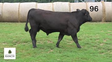 Lot 96 M242