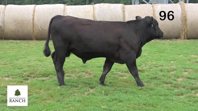 Lot 96 M242