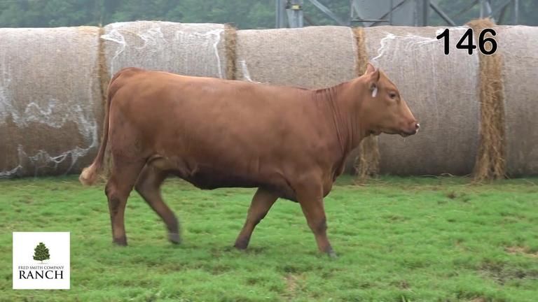 Lot 146 M085