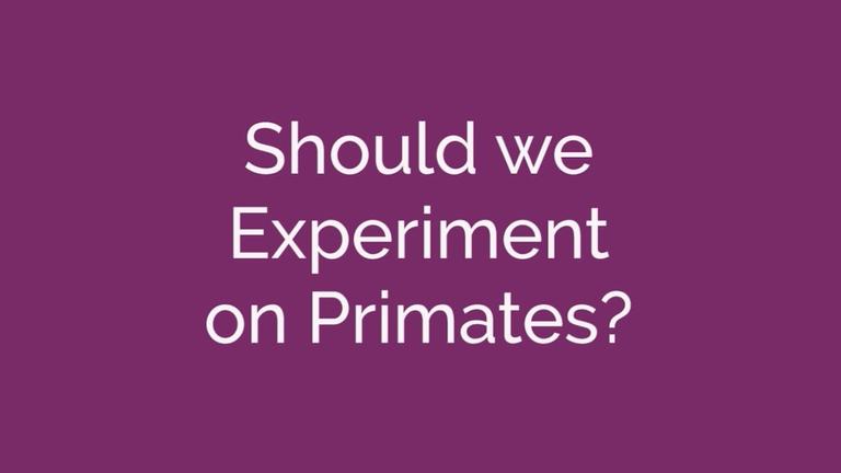 Primate research