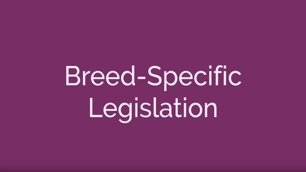 Breed Specific Legislation