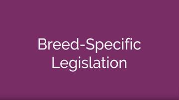 Breed Specific Legislation