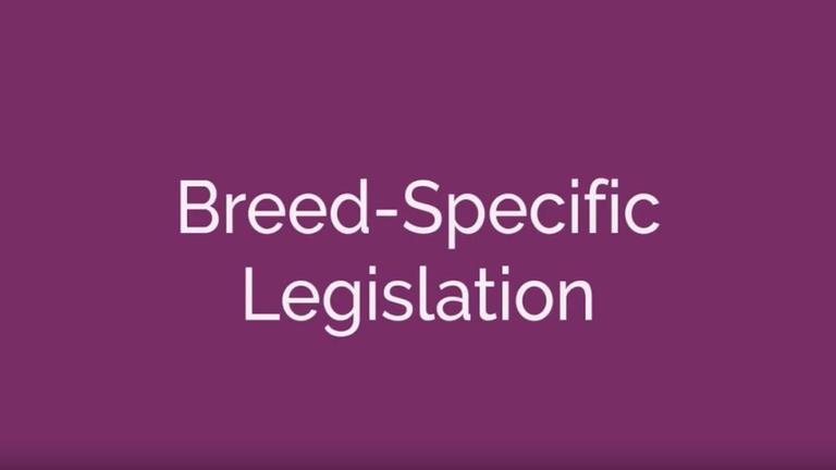 Breed Specific Legislation