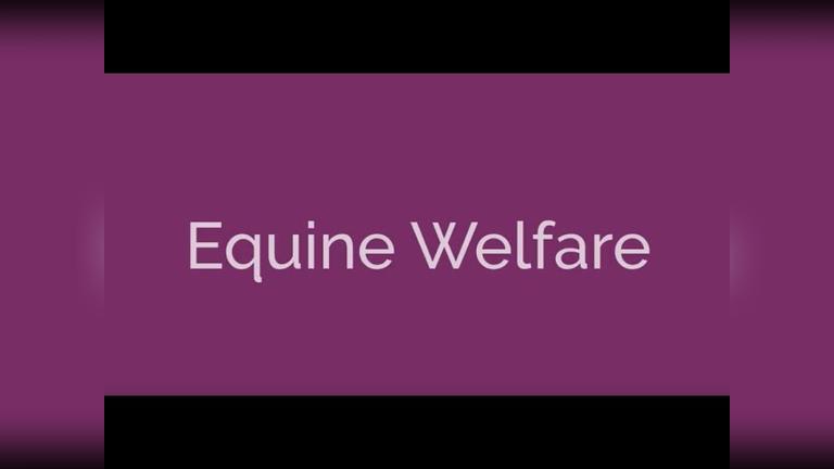 Equine Welfare