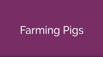 Farming Pigs