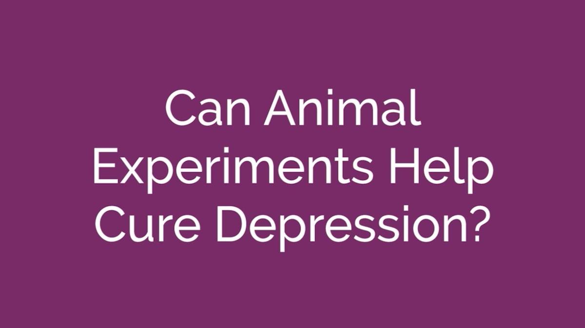 Animal Research and Depression