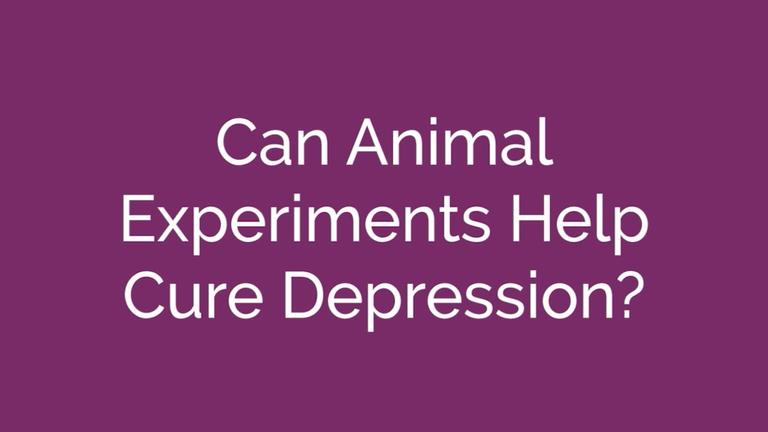 Animal Research and Depression