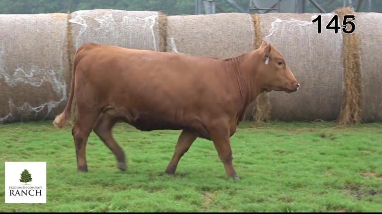 Lot 145 M105