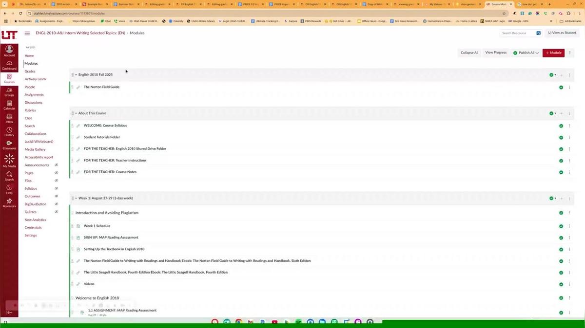 Norton Video July 23, 2025 12_25 PM