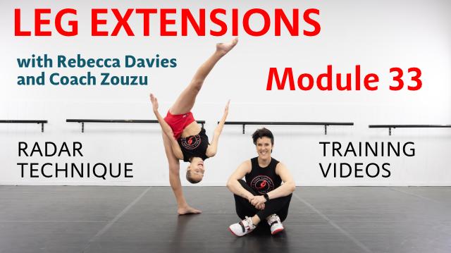 module-33-leg-extensions