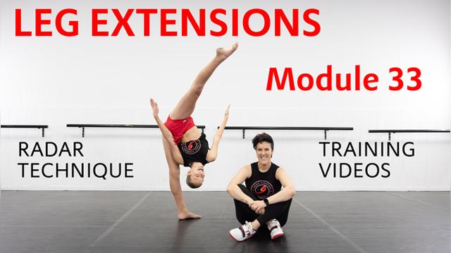 module-33-leg-extensions