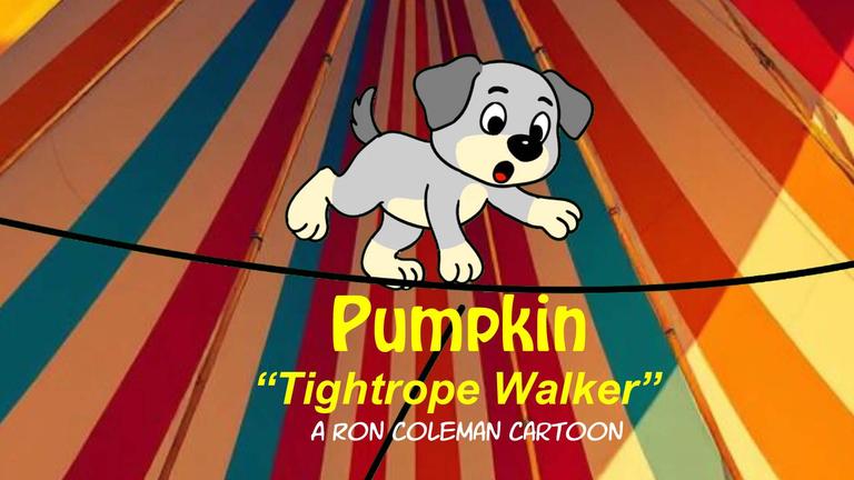 Tightrope Walker