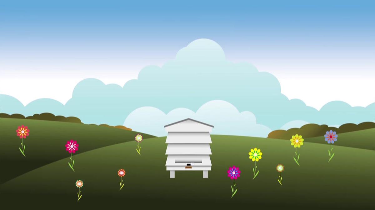 ERP Colleague Animation Part Two
