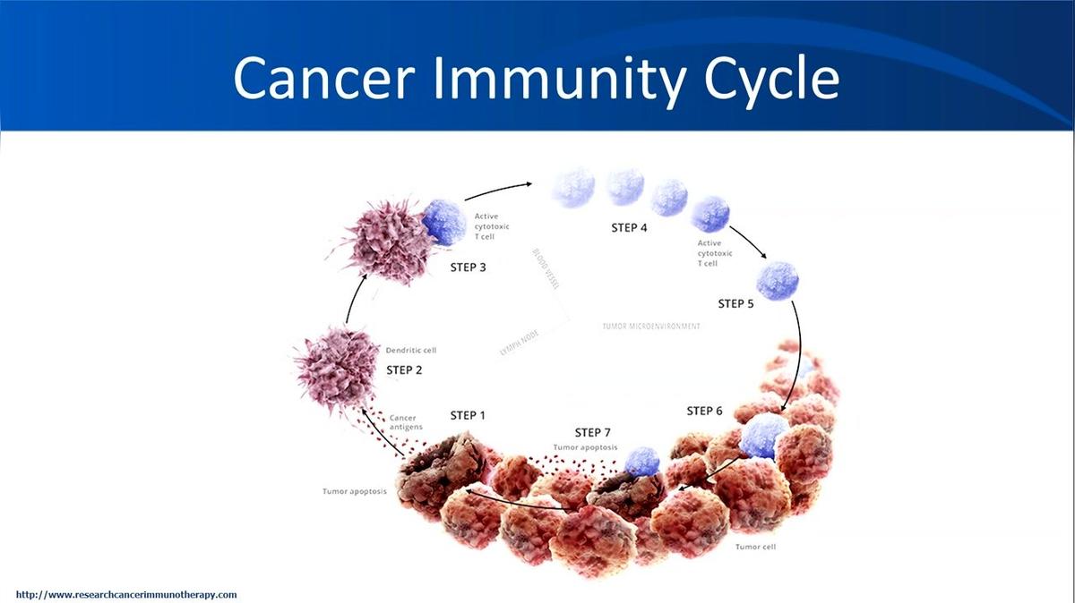 Immunological approaches against brain tumors, Duane Mitchell