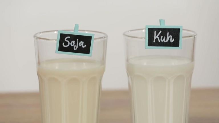 Welche Milch-Alternative ist die Richtige für mich?
