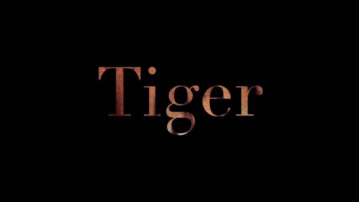Tiger Trailer