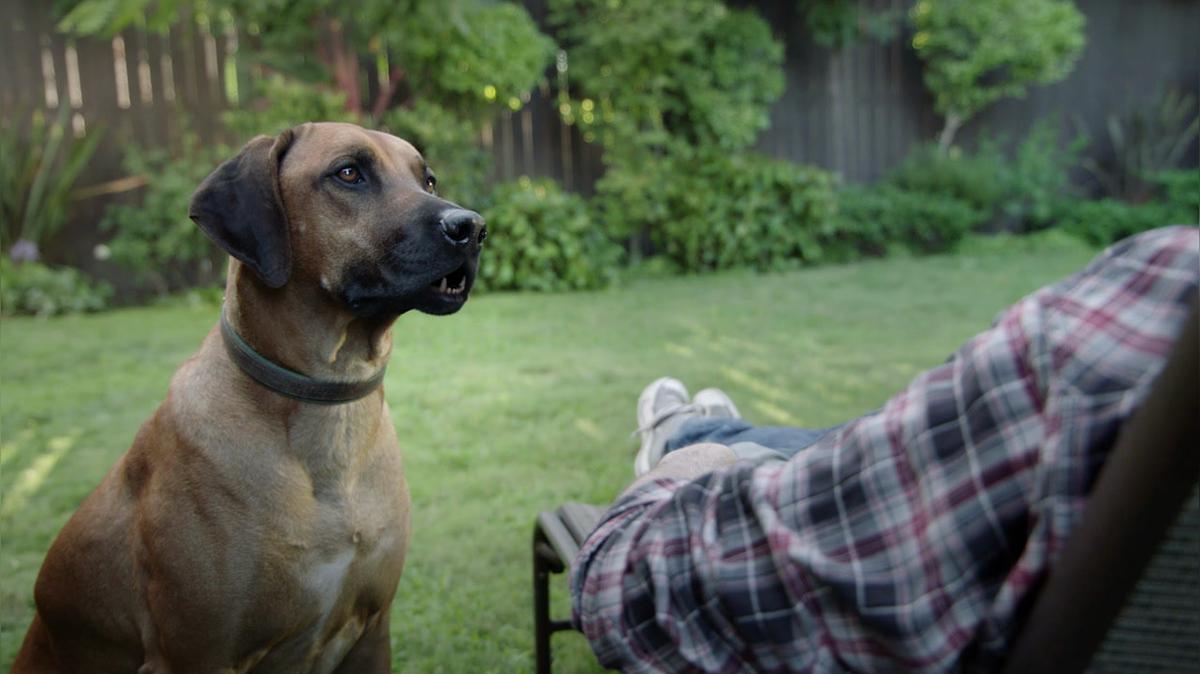 Michigan Lottery Powerball "Dog"