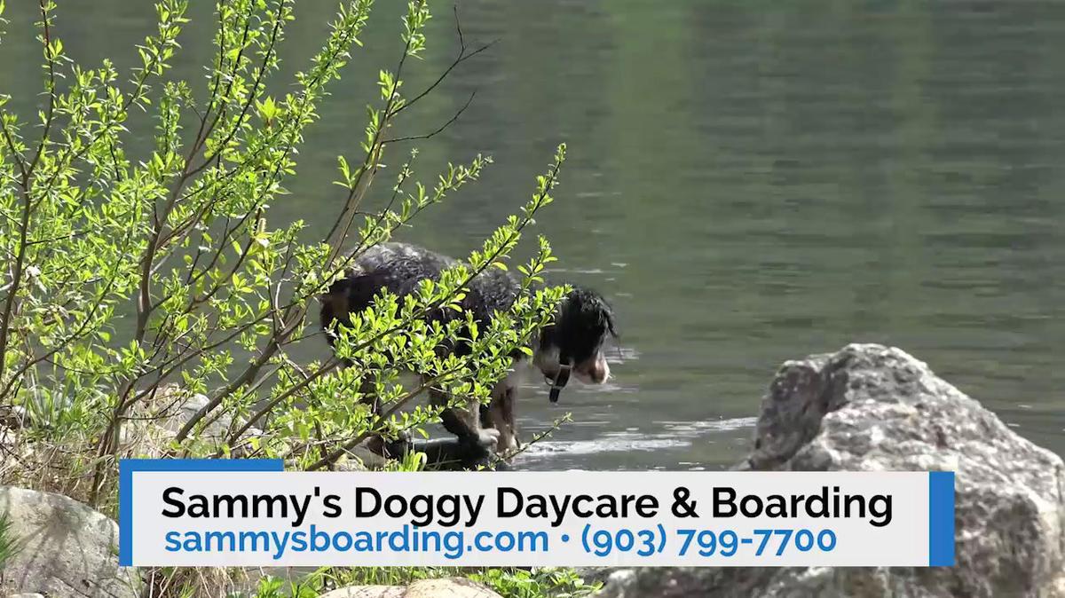 Dog Boarding in Atlanta TX, Sammy's Doggy Daycare & Boarding