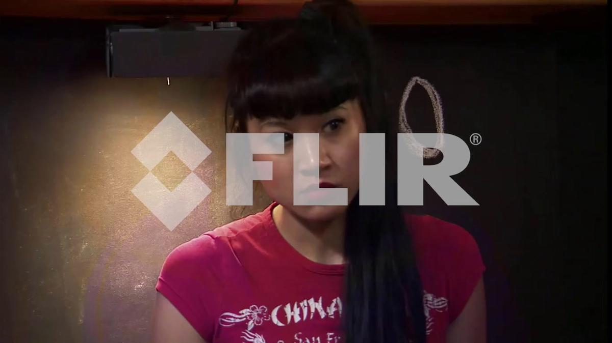 FLIR - CES 2019 - Spooky Captures