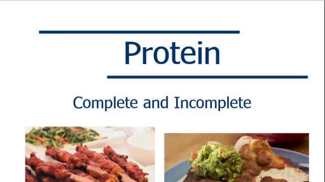Foods 1 Protein