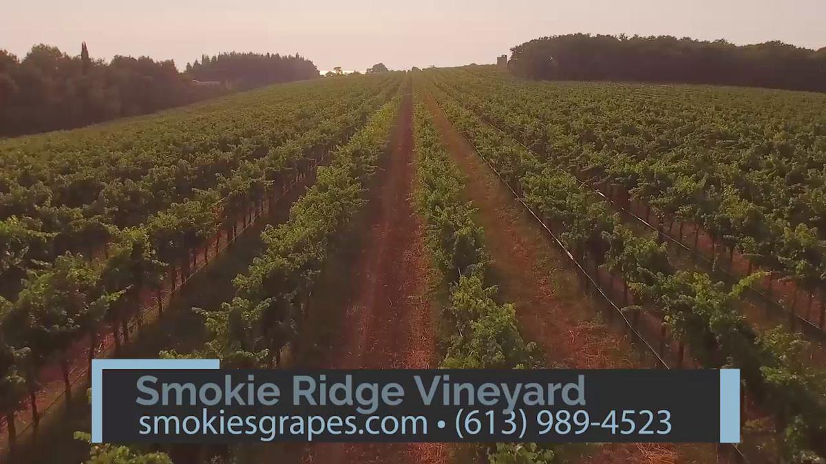 Vineyards in Mountain ON, Smokie Ridge Vineyard