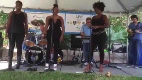 Band S.A..mp4