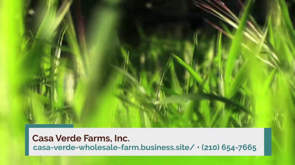 Wholesale Nursery in Schertz TX, Casa Verde Farms, Inc.