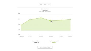 Net Worth