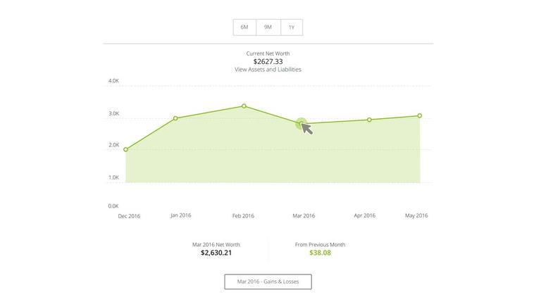 Net Worth