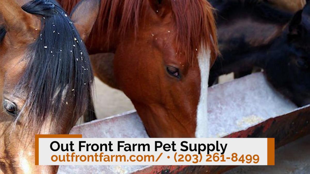 Hay in Monroe CT, Out Front Farm Pet Supply