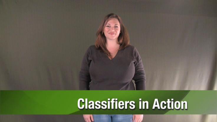 Unit5_Classifiers_in_Action.mp4