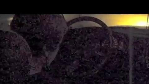 Dont Text and Drive