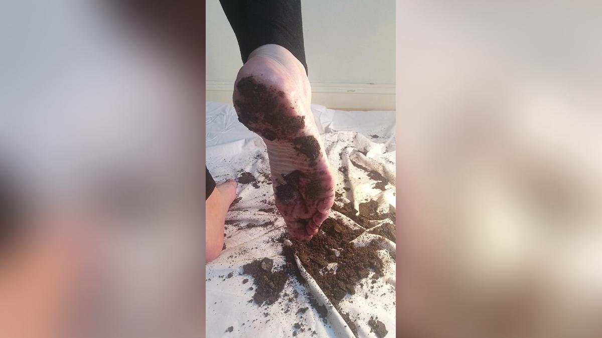 Trampling/Crushing Oreos in Oreo dust