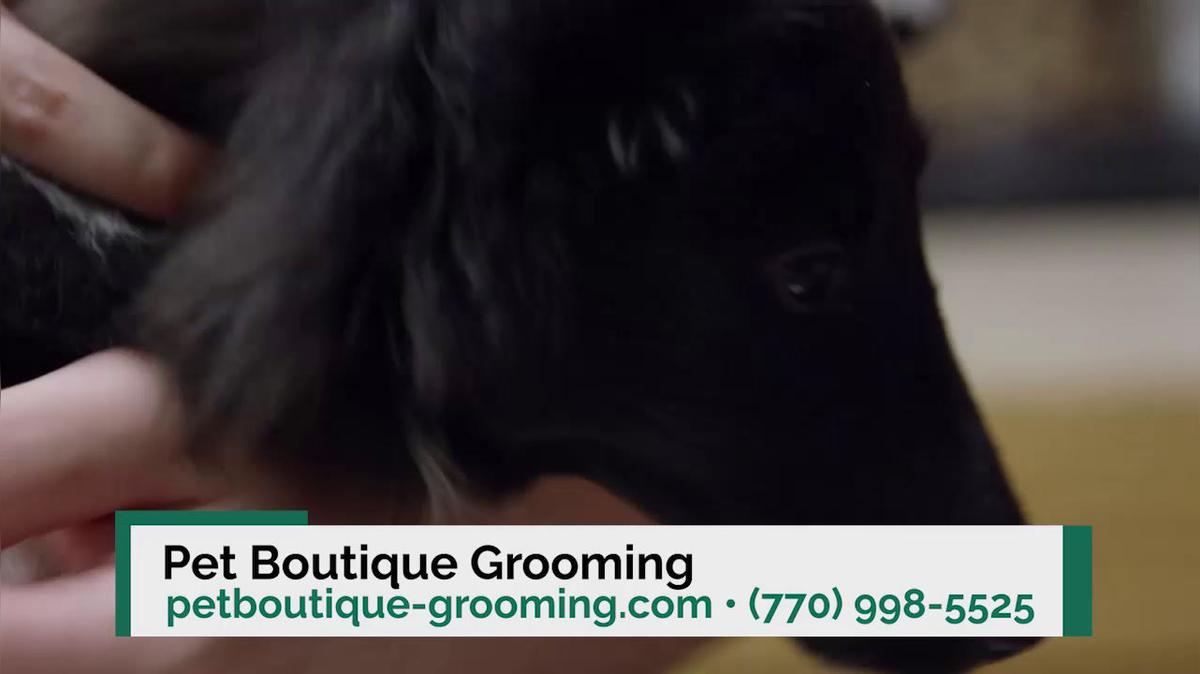 Pet Grooming in Marietta GA, Pet Boutique IV