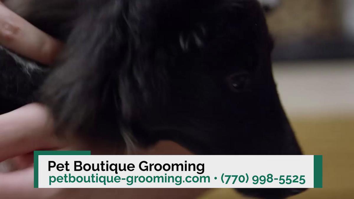Pet Grooming in Marietta GA, Pet Boutique IV