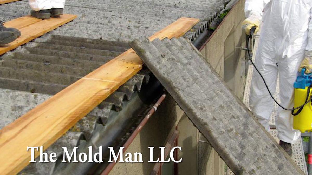 Mold Removal in New Orleans LA, The Mold Man LLC