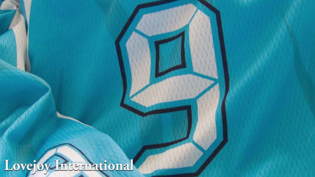 photo shirts  in Detroit MI, Lovejoy International