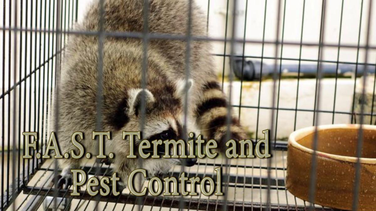 Pest Control in Bayville NJ, F.A.S.T. Termite and Pest Control
