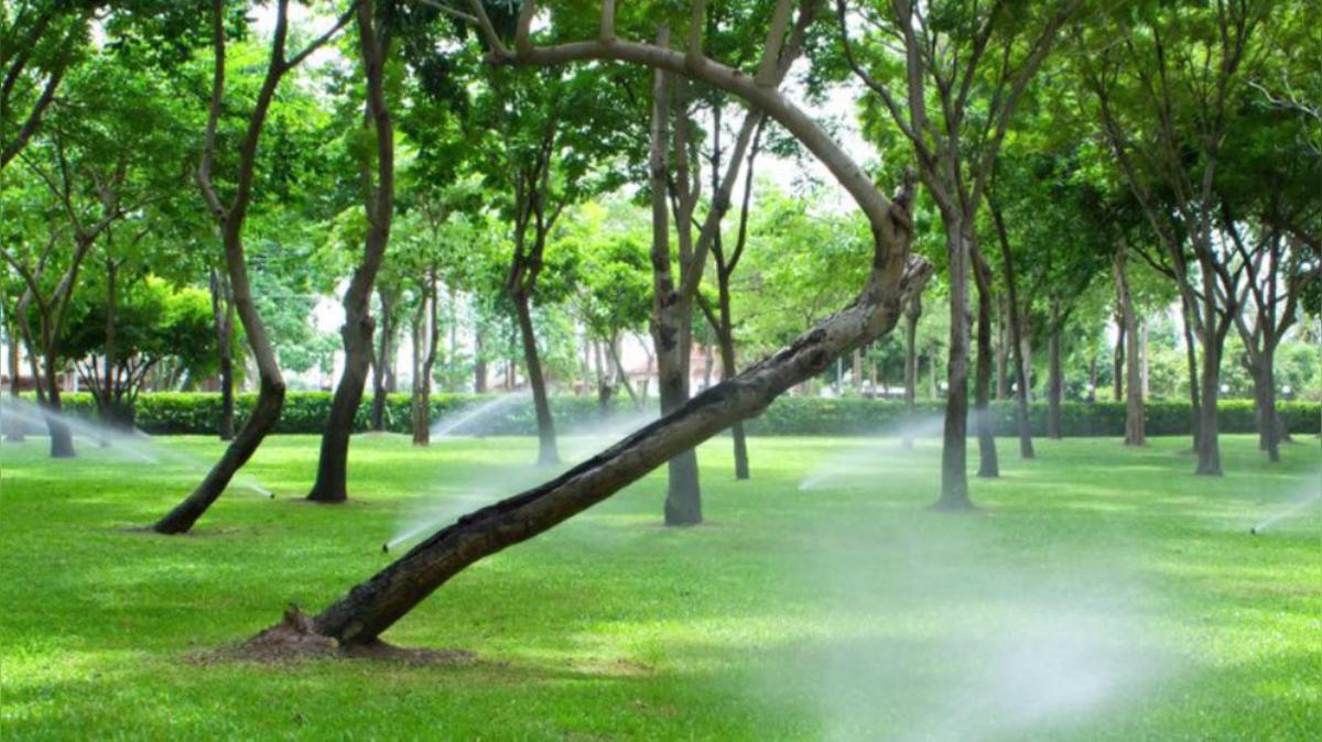 Landscape Design in Buffalo Grove IL, D&D Landscape & Sprinkler Services Inc.