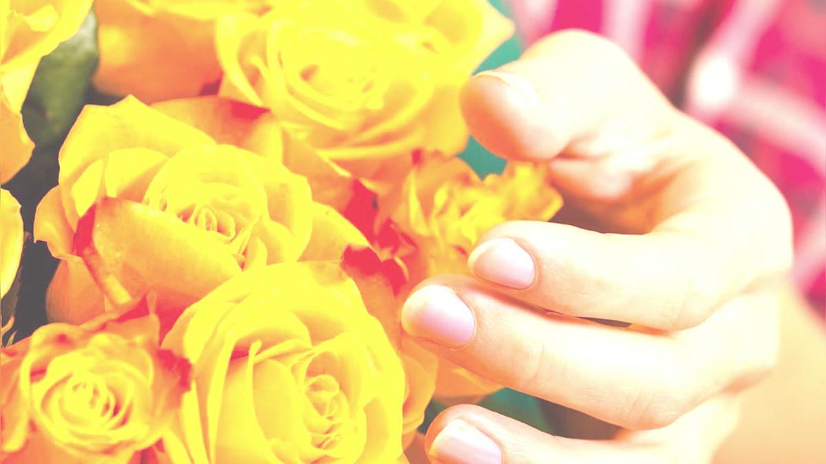 Florist in Hasbrouck Heights NJ, Heights Flower Shoppe