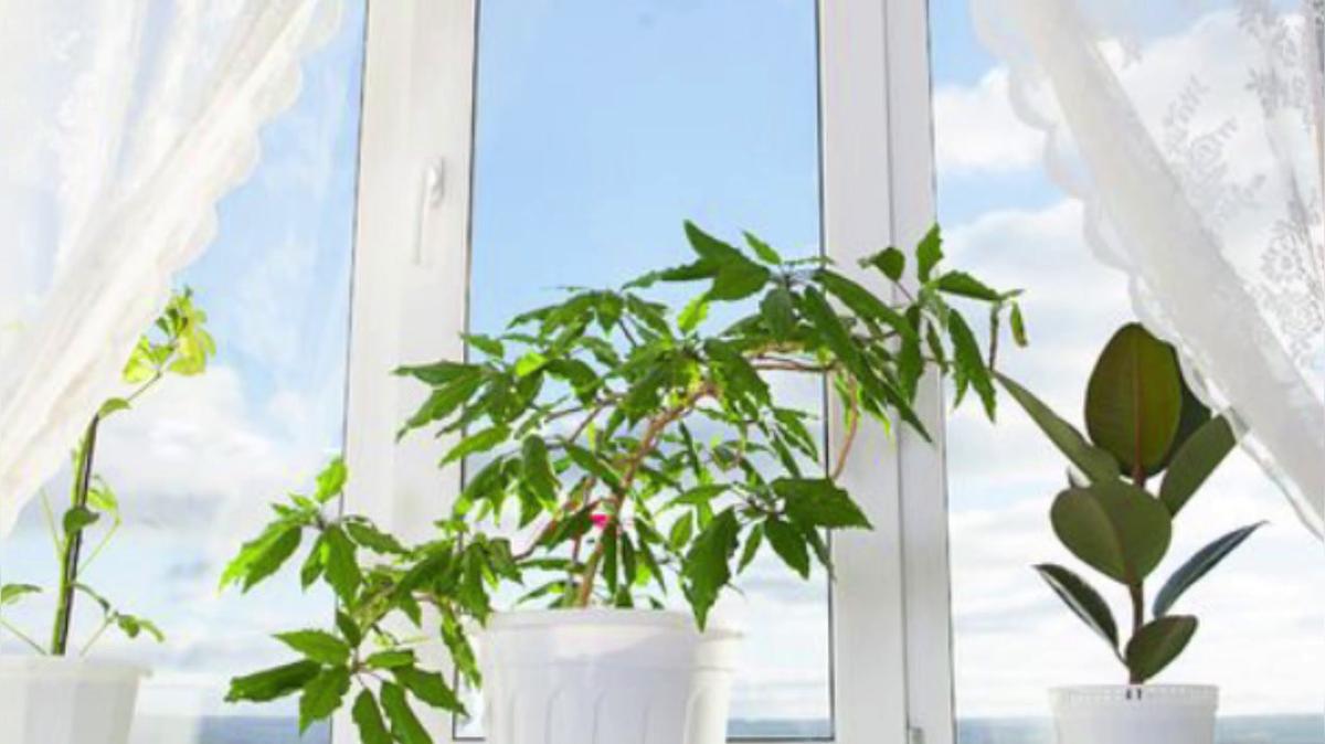 Window Installation Service in Victoria TX, AOC Energy Systems