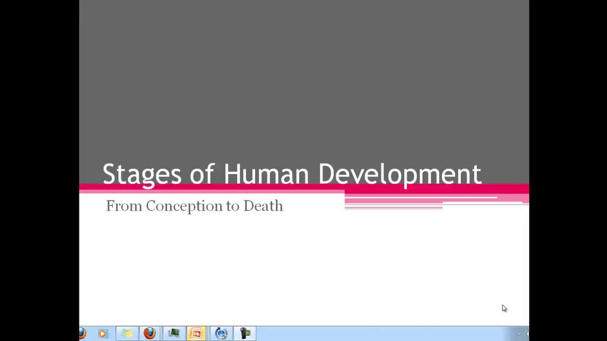 stages of human development