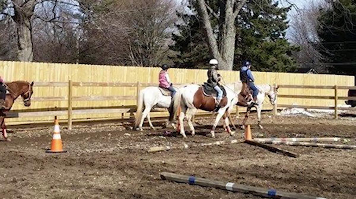Birthday Parties in Lakeville IN, The Riding Stable LLC