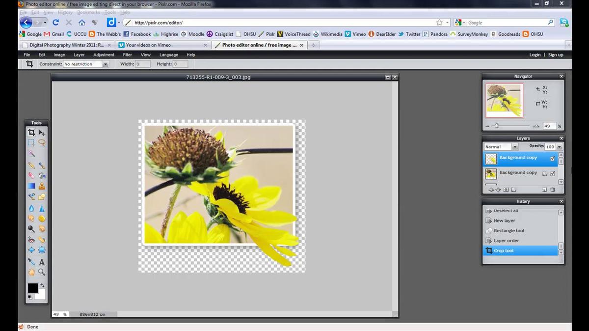Popping Out a Photo in Pixlr.mp4