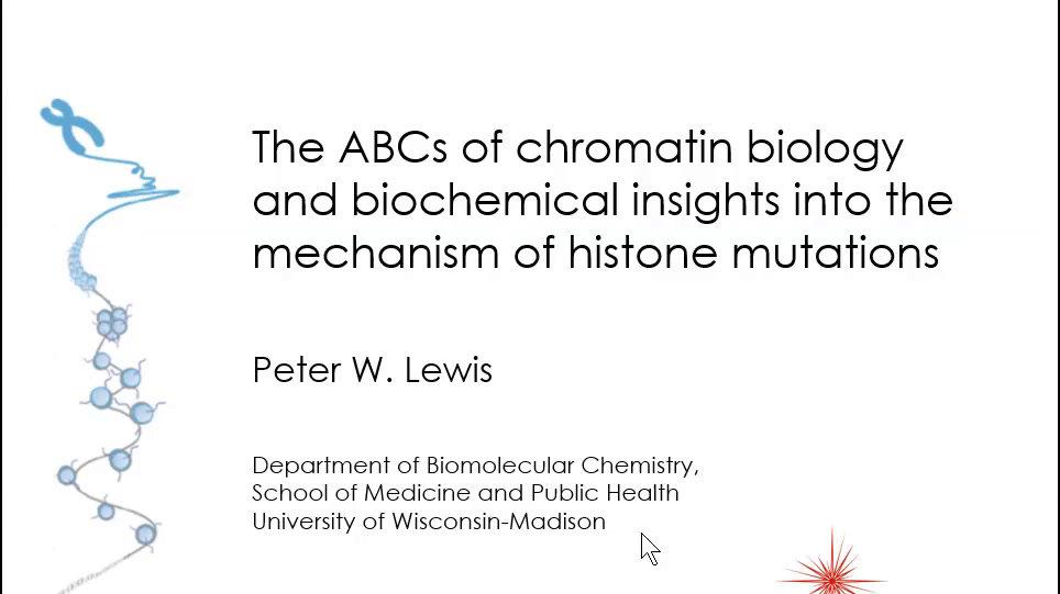 The ABCs of Chromatin Biology and Biochemical Insights Into the Mechanism of Histone Mutations