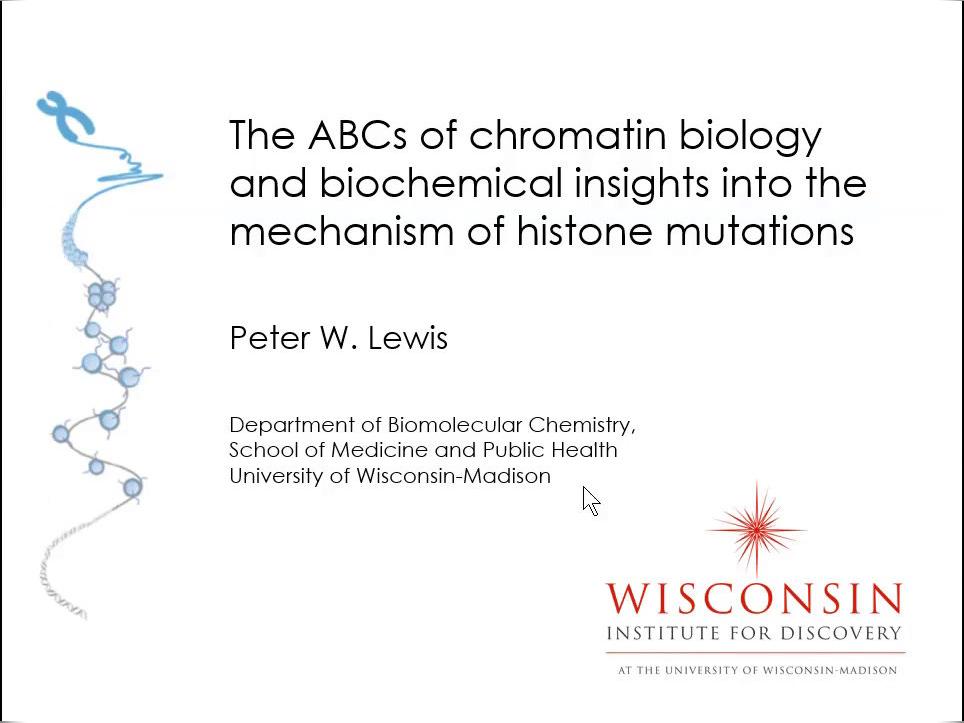 The ABCs of Chromatin Biology and Biochemical Insights Into the Mechanism of Histone Mutations