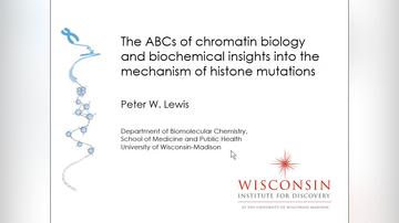 The ABCs of Chromatin Biology and Biochemical Insights Into the Mechanism of Histone Mutations