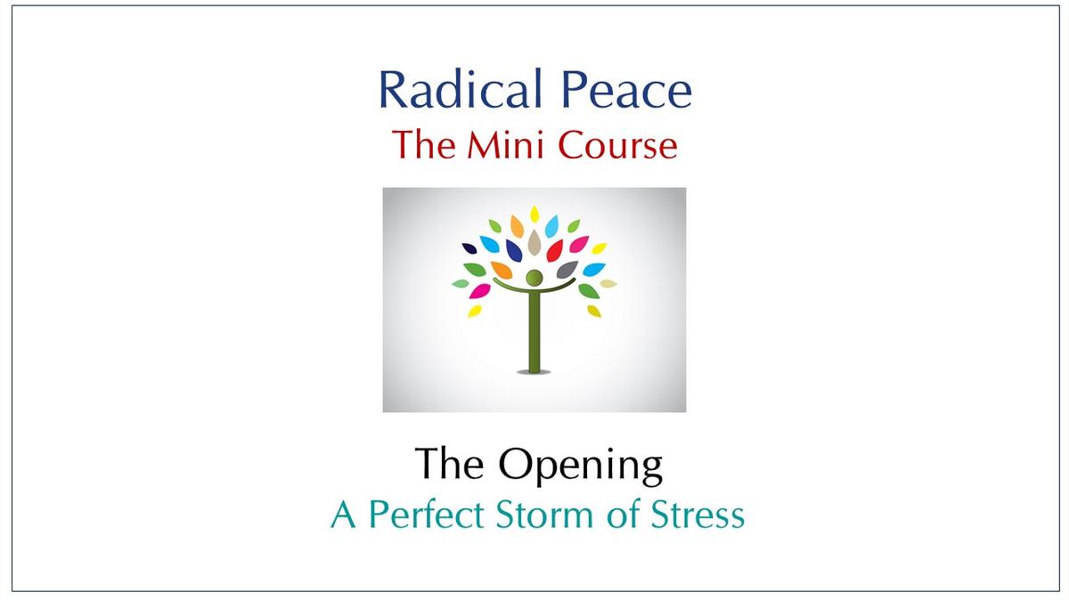 session-00-perfect-storm-of-stress.mp4