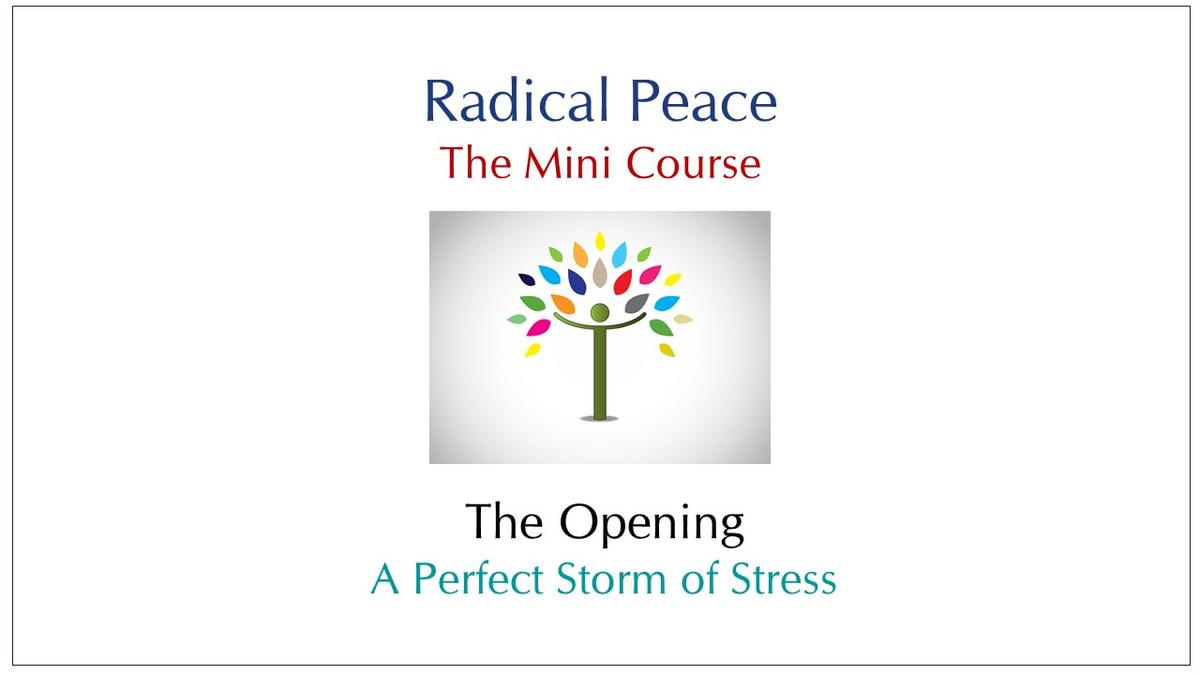 session-00-perfect-storm-of-stress.mp4