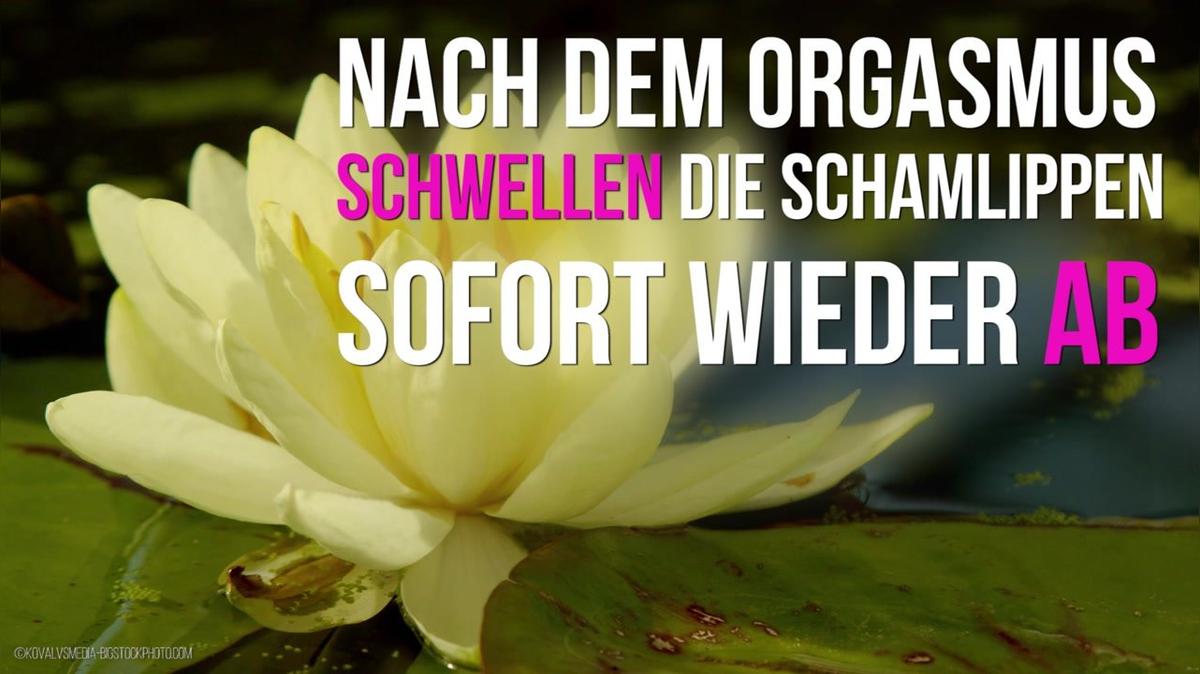 5 Dinge die mit deinem Körper passieren, wenn du Sex hast